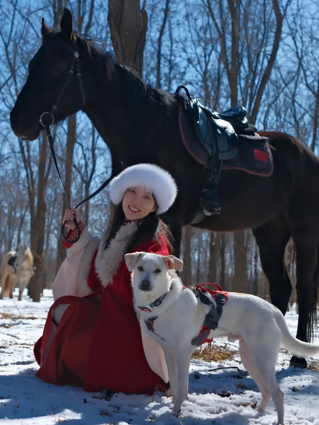 Woman in red hanfu poses with a horse and a white dog in a snowy Beijing forest.