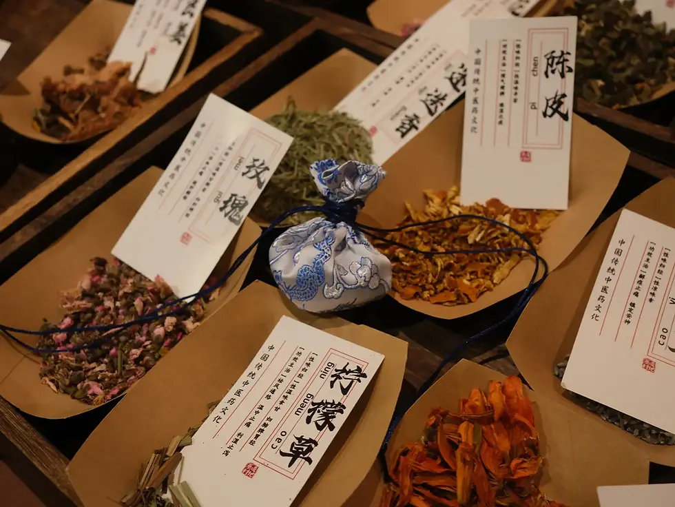 Traditional Chinese Medicine herbs and ingredients displayed for a TCM wellness experience in Beijing