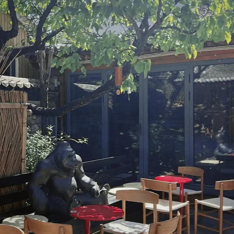 Shaded hutong garden seating at Fu San Coffee