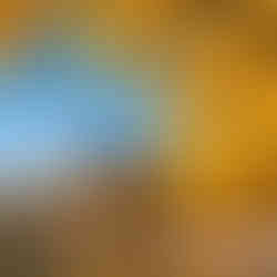 Beijing’s autumn scenery in November