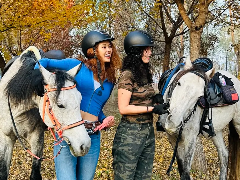 A calm moment in the quiet forest.