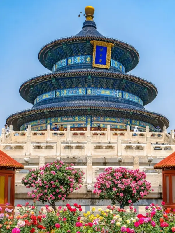 Temple of Heaven under bright early-summer weather in May