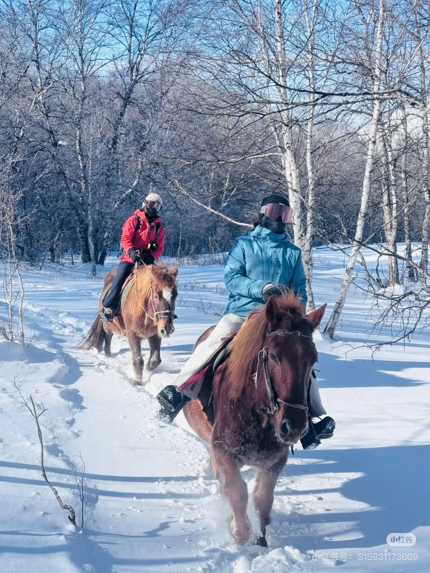 Ride a horse in the snow