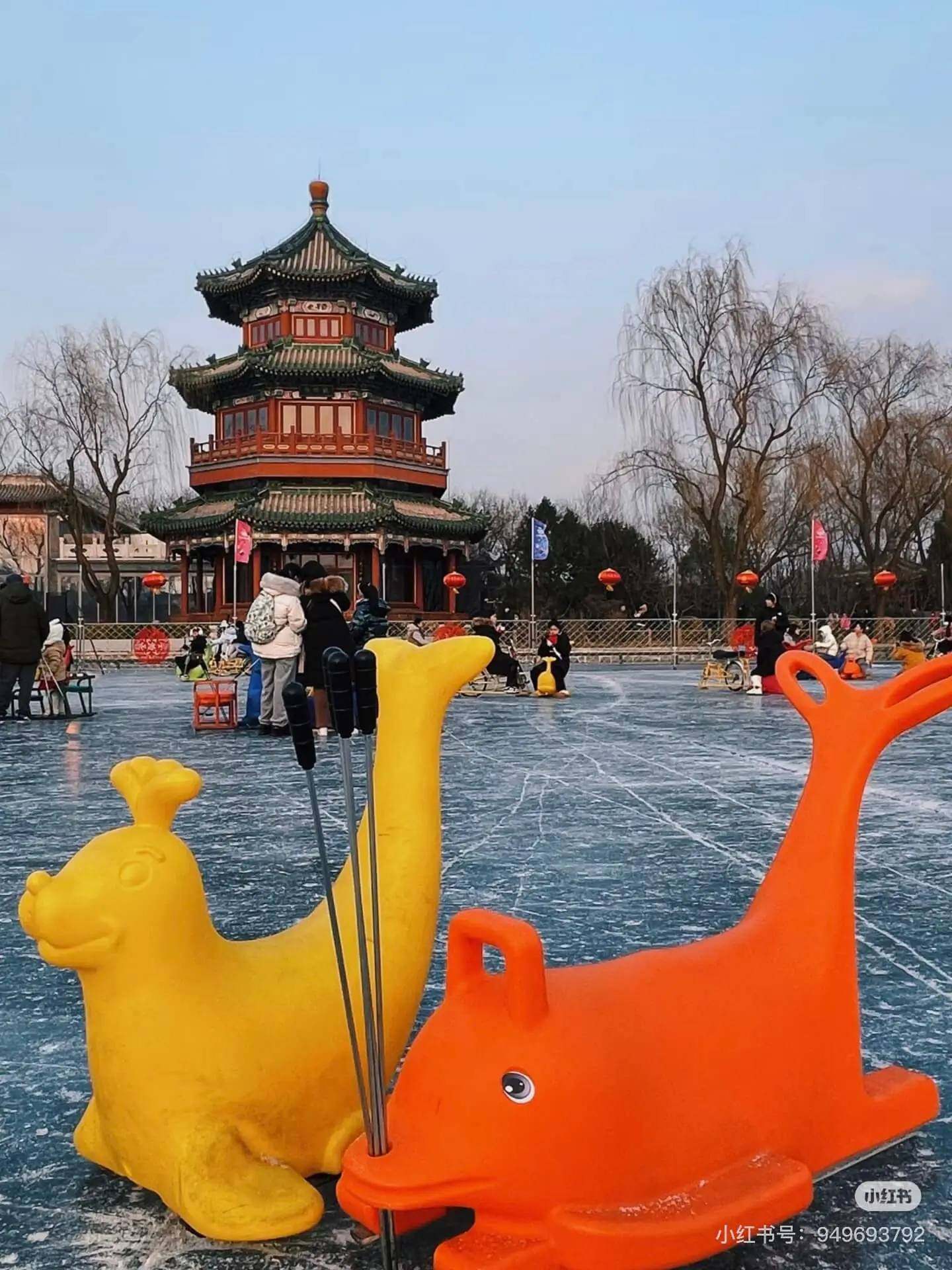 Seal helper in ice rink