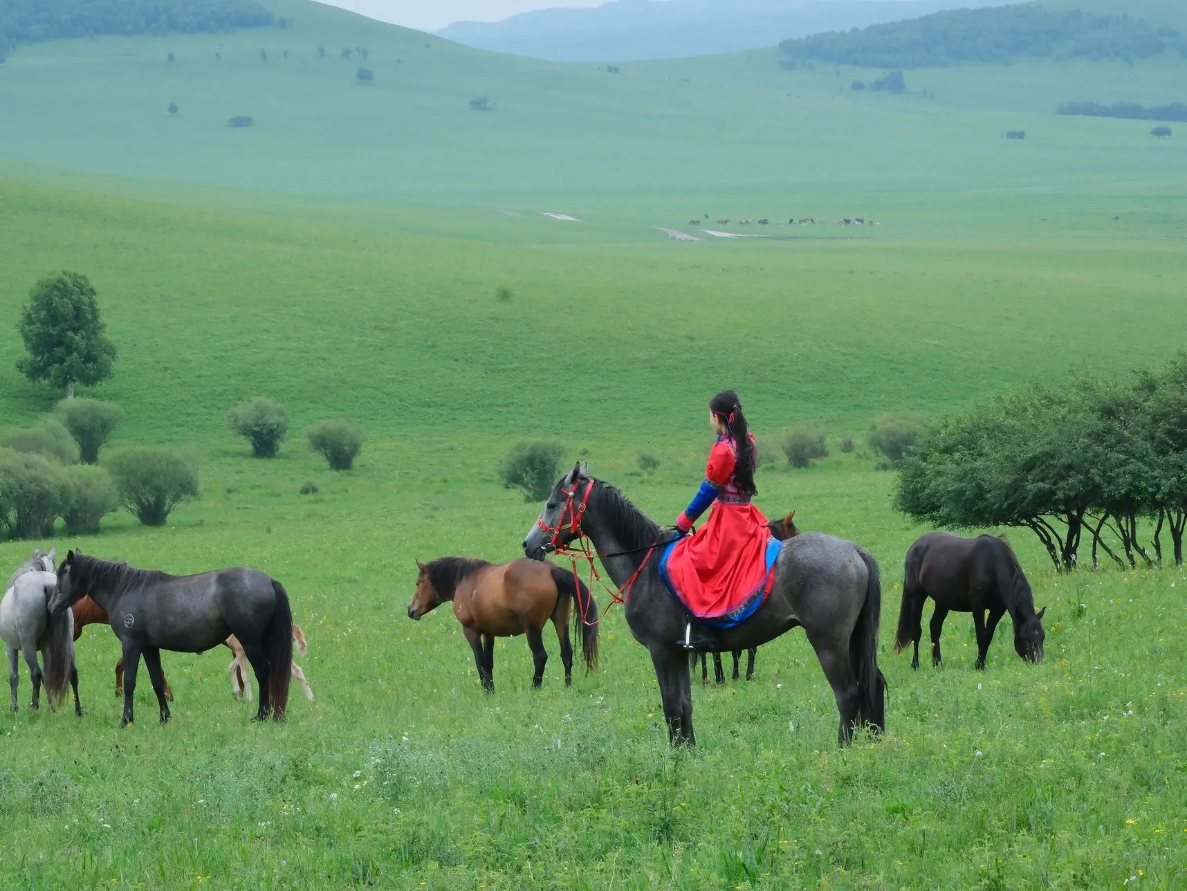Traditional horse riding in Inner Mongolia with riders experiencing the open grassland landscape and horse culture