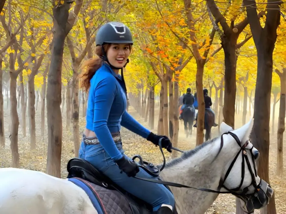 Ride a horse in the woderland