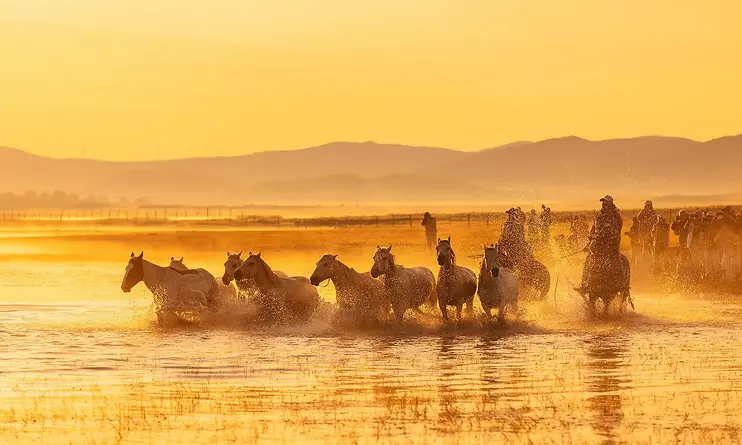 Horse riders crossing the Ulan Butong grasslands at sunset, with WhatsApp and WeChat contact options for a 5-day Inner Mongolia horseback riding tour.