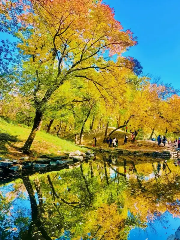 Golden autumn leaves and reflections in a Beijing park during October