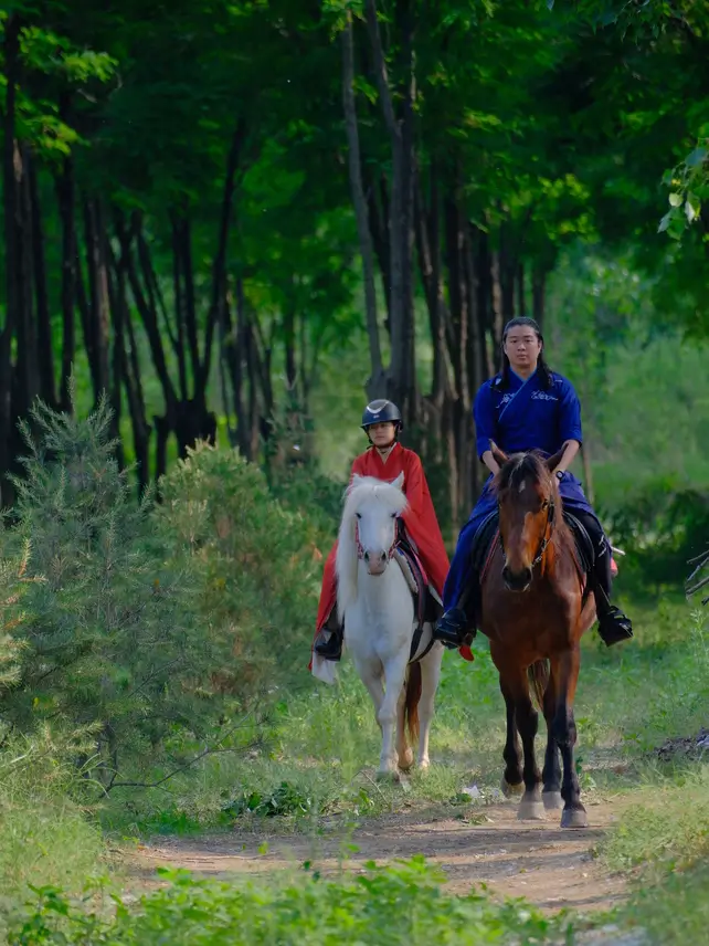 Riders wearing traditional Chinese clothing ride horses along a green forest trail in Beijing.