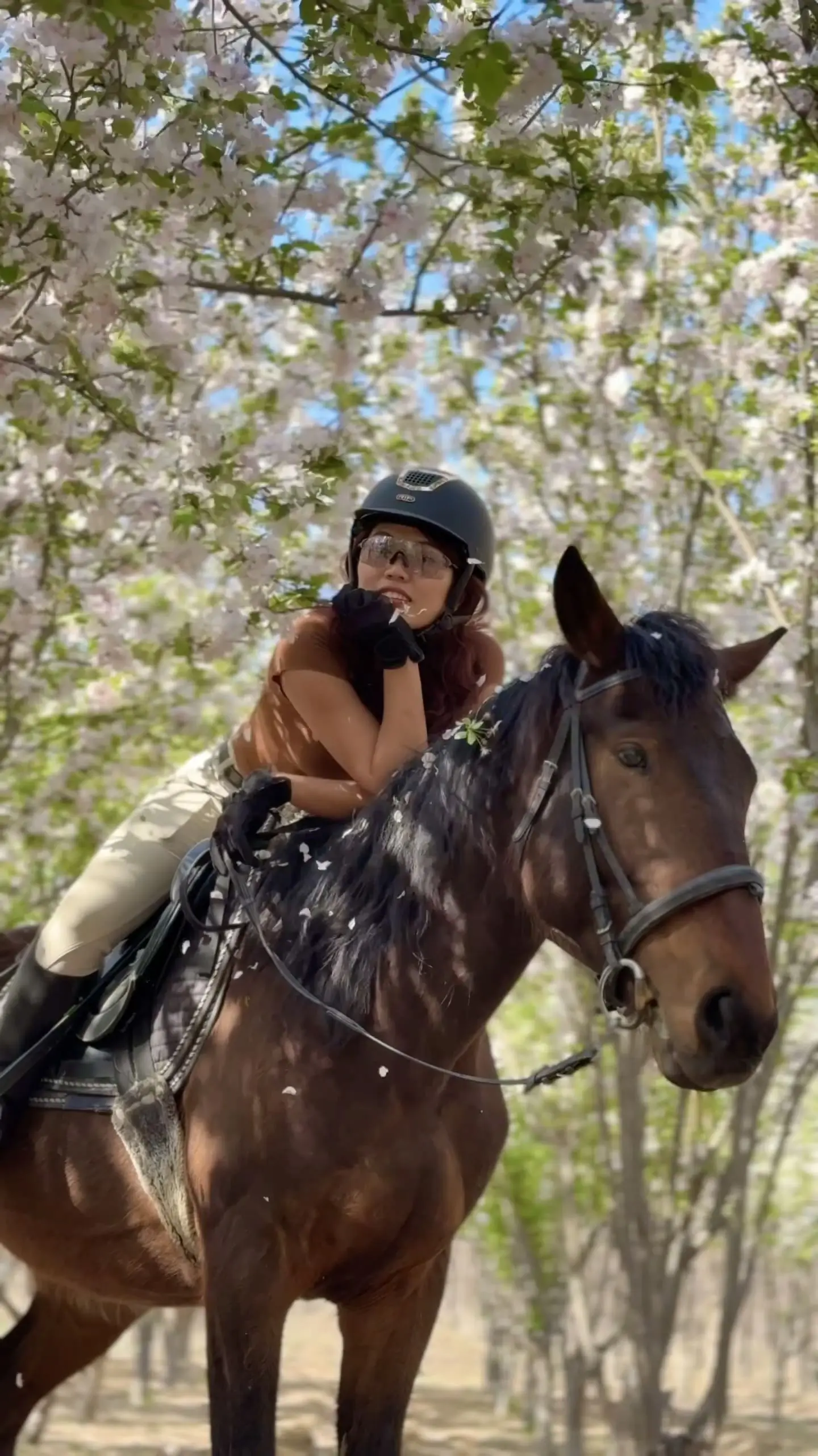 A smiling female rider on a horse under a tunnel of blooming pink cherry blossoms in Beijing.