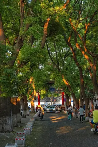 Bite Escape private tour Guozijian street with tree-lined avenue and traditional Beijing architecture at sunset