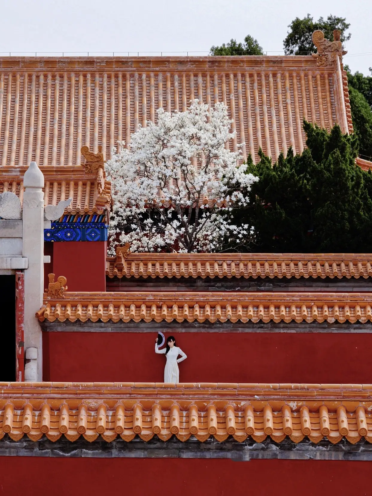 Ditan Park in Beijing, also known as the Temple of Earth, with classic red walls, golden rooftops, and peaceful historic scenery near the Lama Temple.