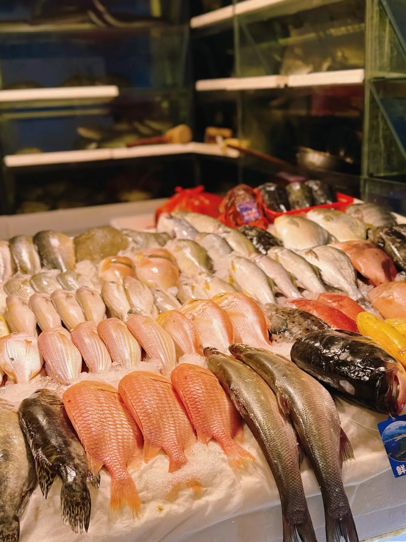 Sea food in Sanyuanli Market