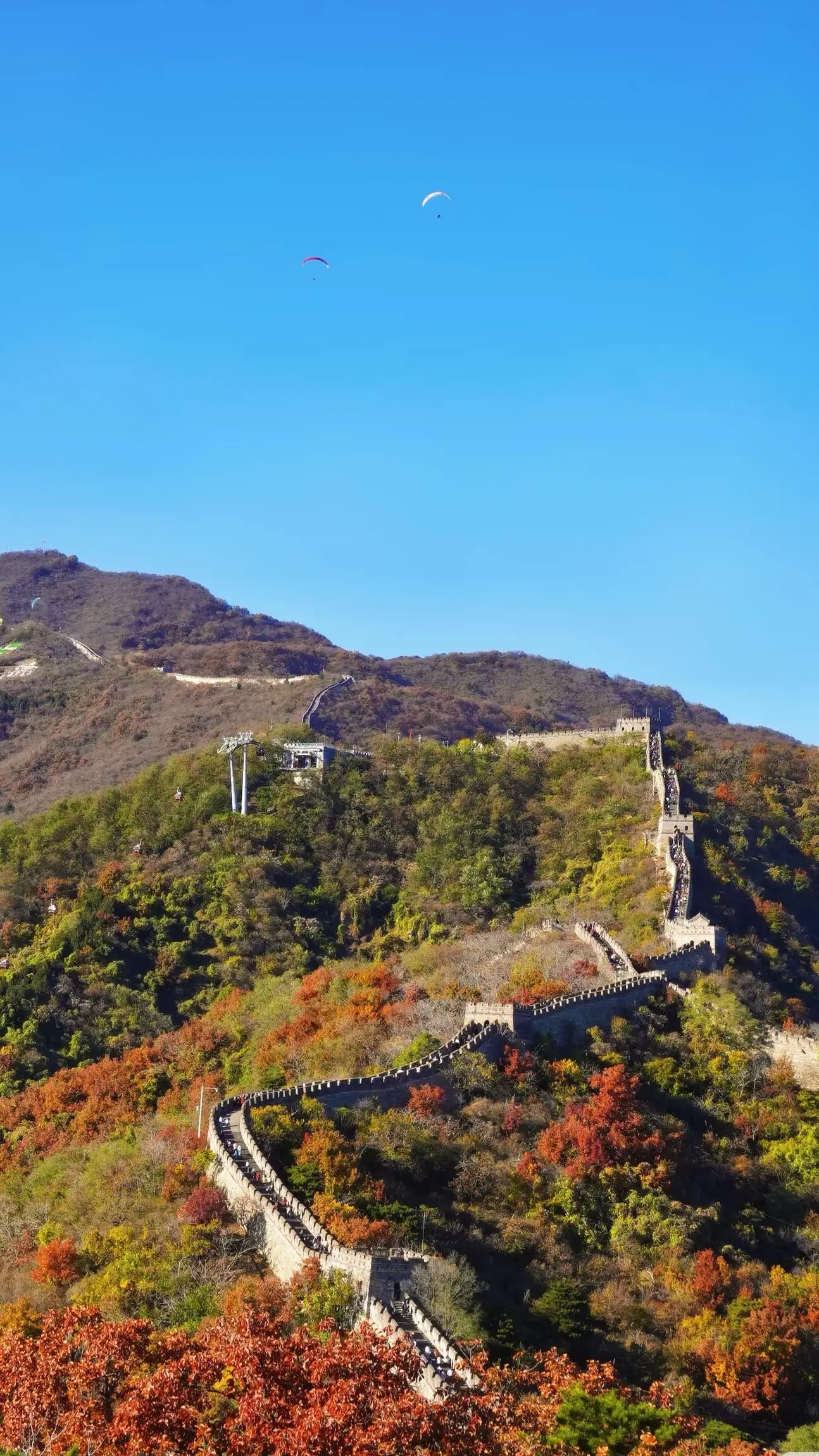 The Great Wall of China winding across forested mountains in autumn, with colorful foliage and watchtowers visible along the ridge under a clear blue sky.