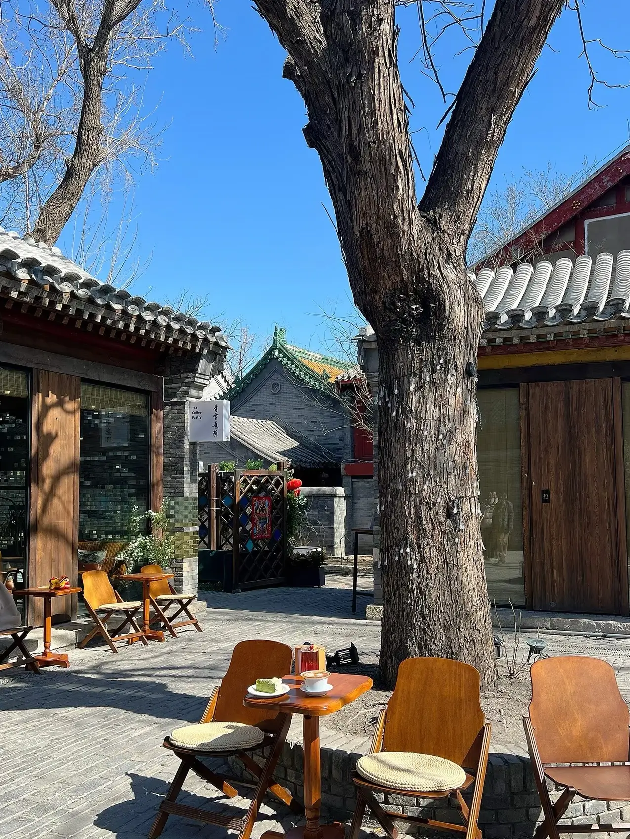 Sunny hutong courtyard café in Beijing with wooden chairs and tables under a large tree, traditional tiled rooftops and historic courtyard architecture in the background.