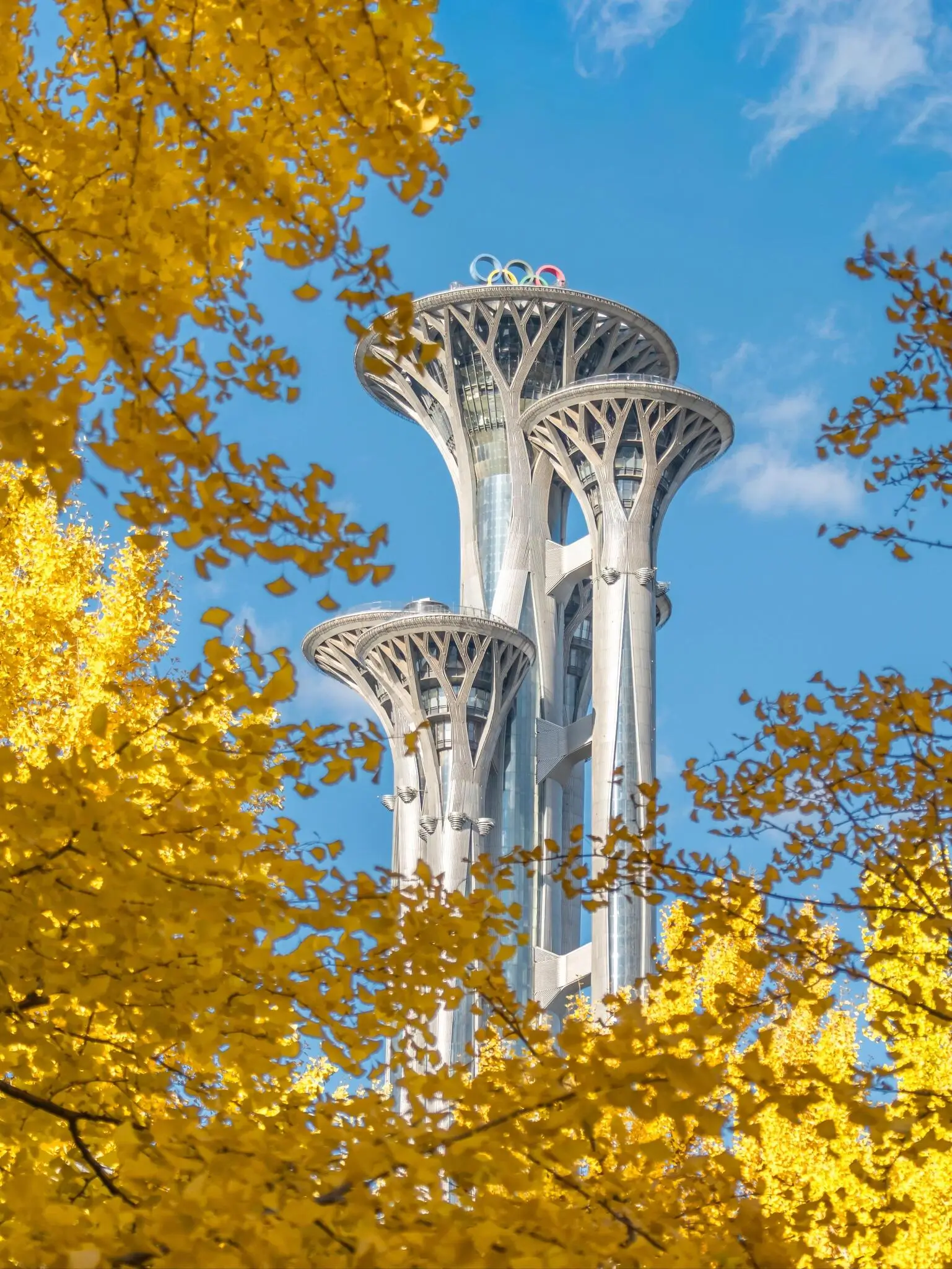 Olympic Park in Beijing with modern Olympic landmarks framed by golden autumn trees and a clear blue sky.