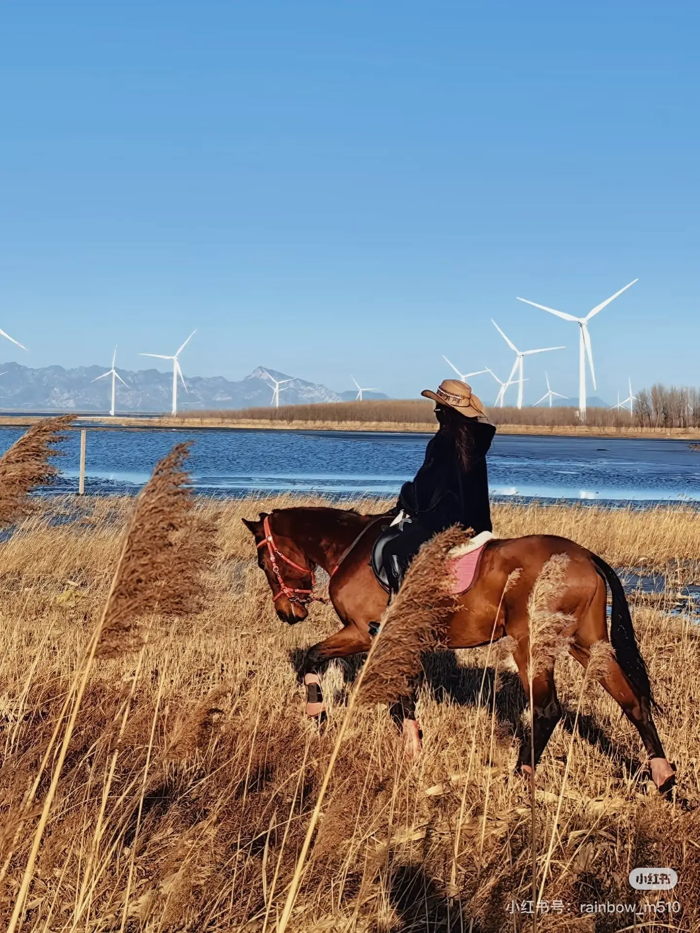 Winter horse riding near a river