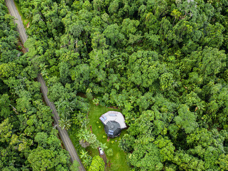 Isolation in the Daintree Rainforest