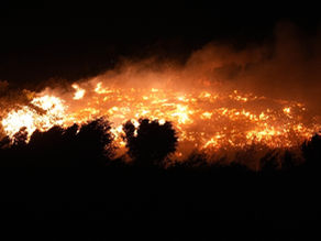 Firefighting efforts intensify as forest fires rage in Türkiye's western provinces