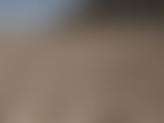 Ecuador gripped by energy crisis amid worst drought in decades