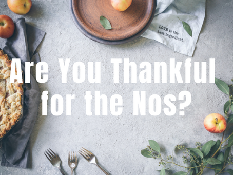017 - Are You Thankful for the Nos?