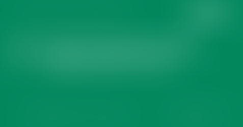 Form 1120 Pro Forma