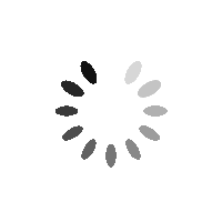 Spinner_1x-1.0s-200px-200px.gif