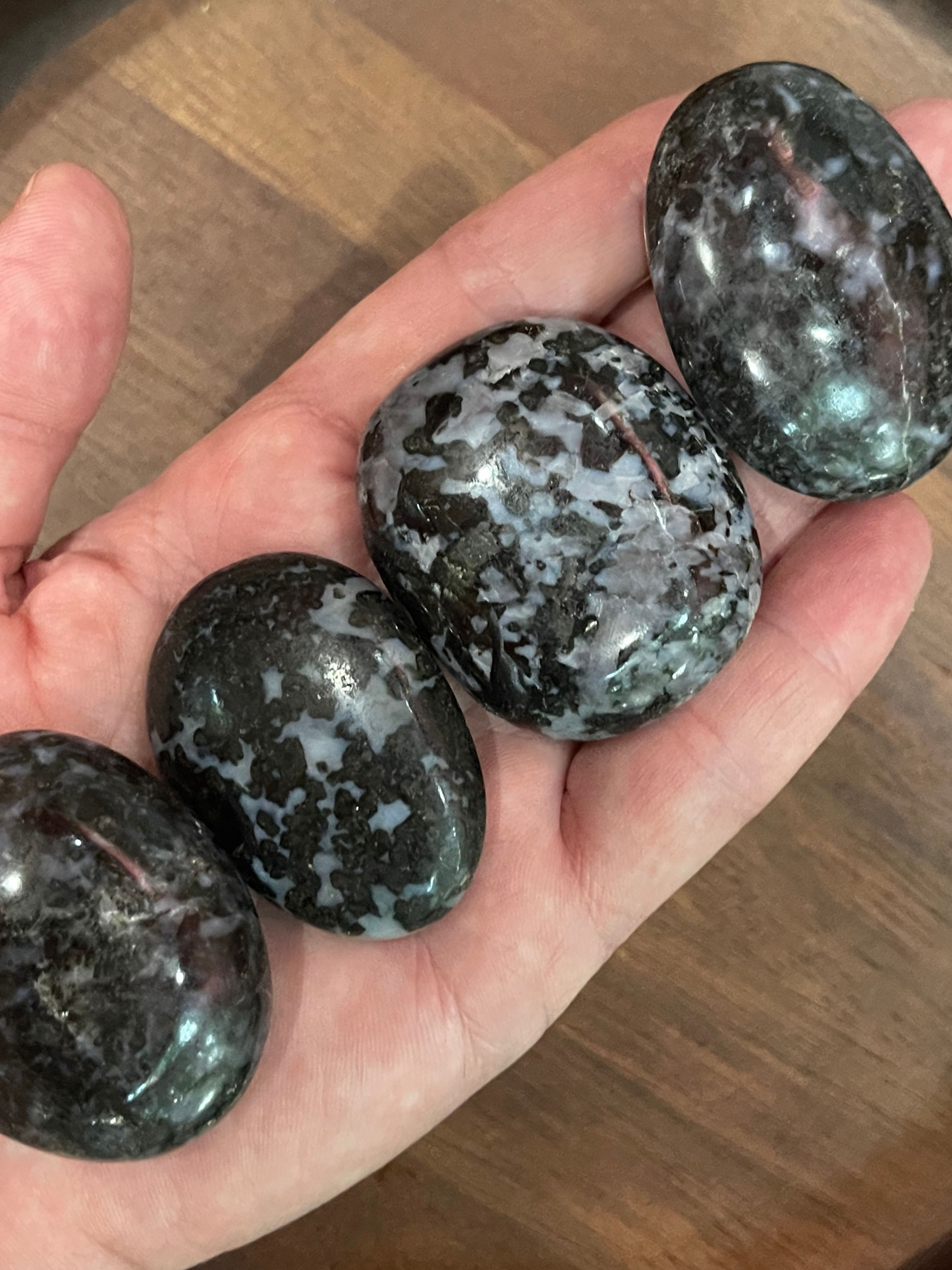 Indigo Gabbro