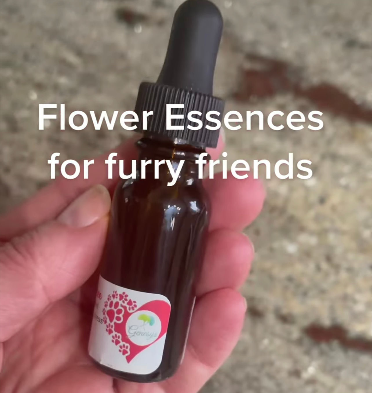 Pet Custom Flower Essence Remedy