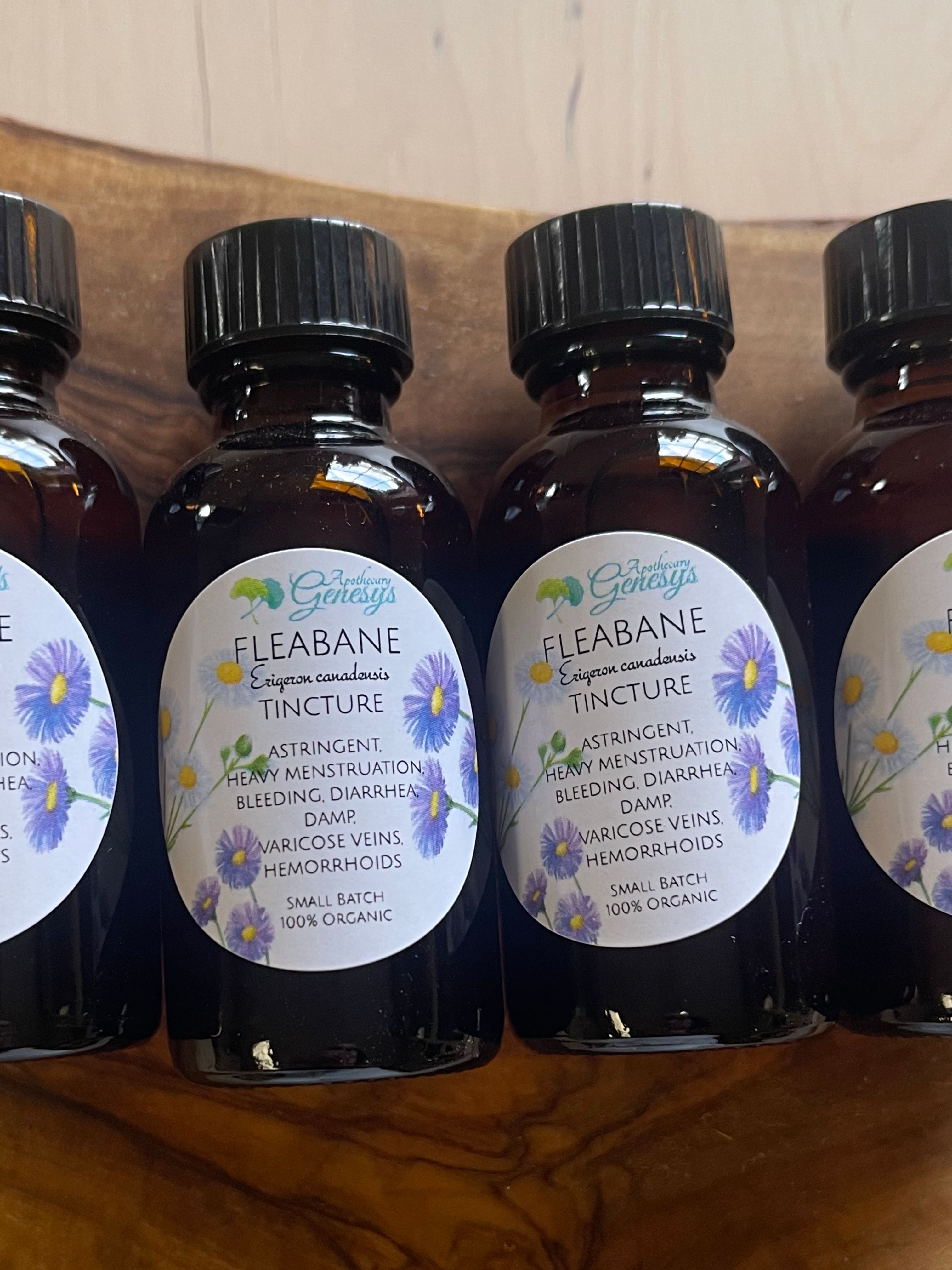 Fleabane Tincture
