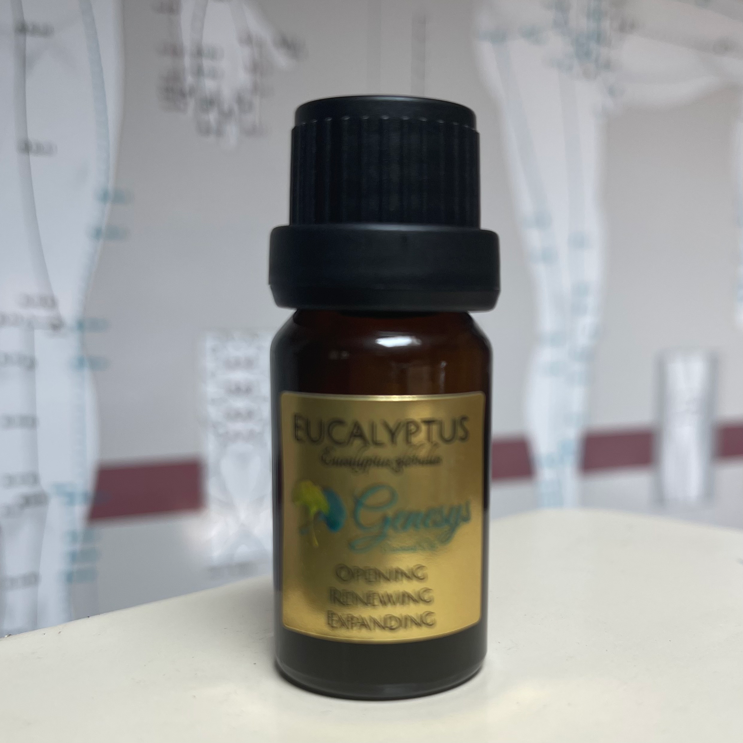 Eucalyptus 100% Pure Organic Essential Oil