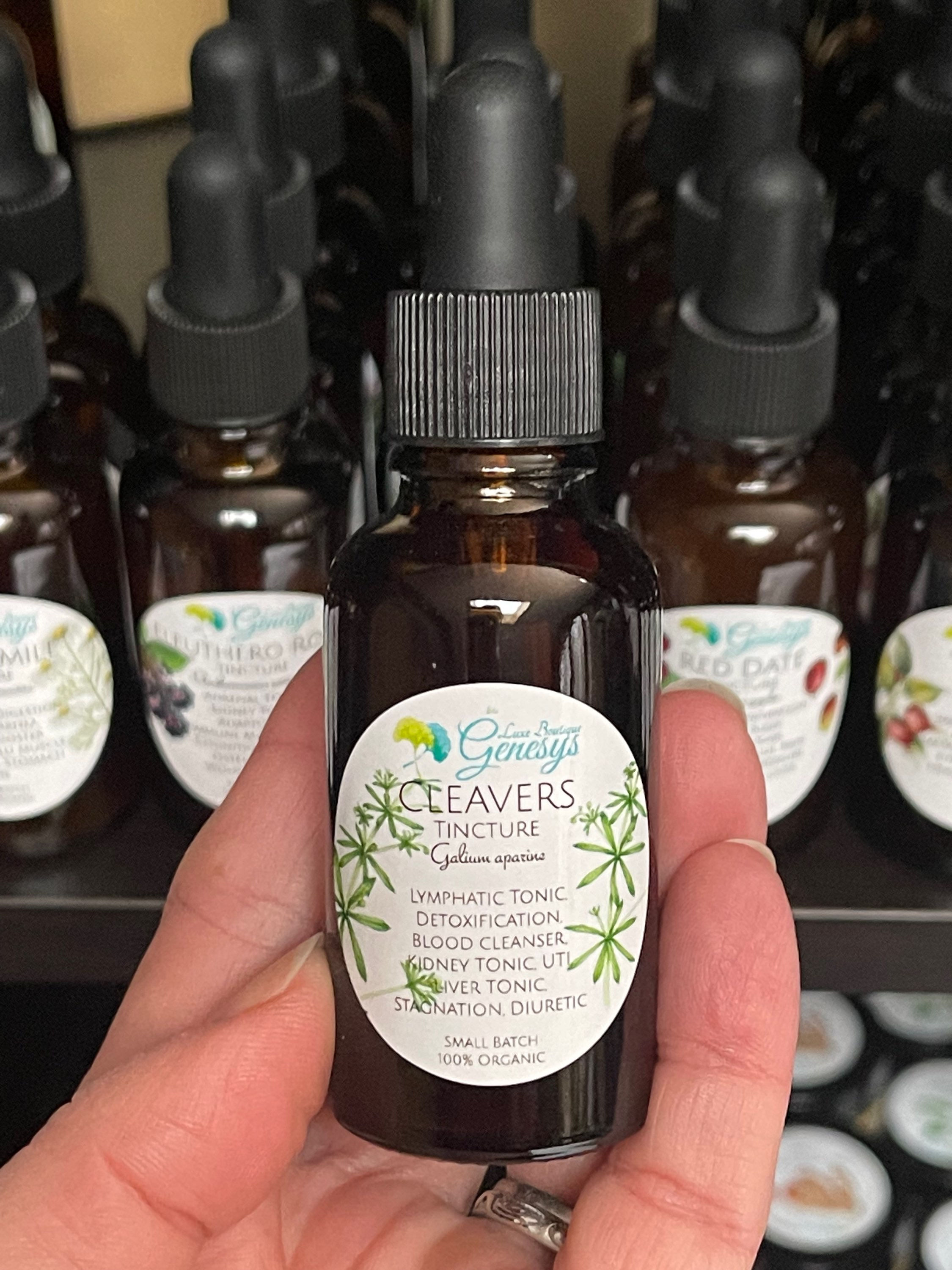 Cleavers Tincture (Double Extraction)