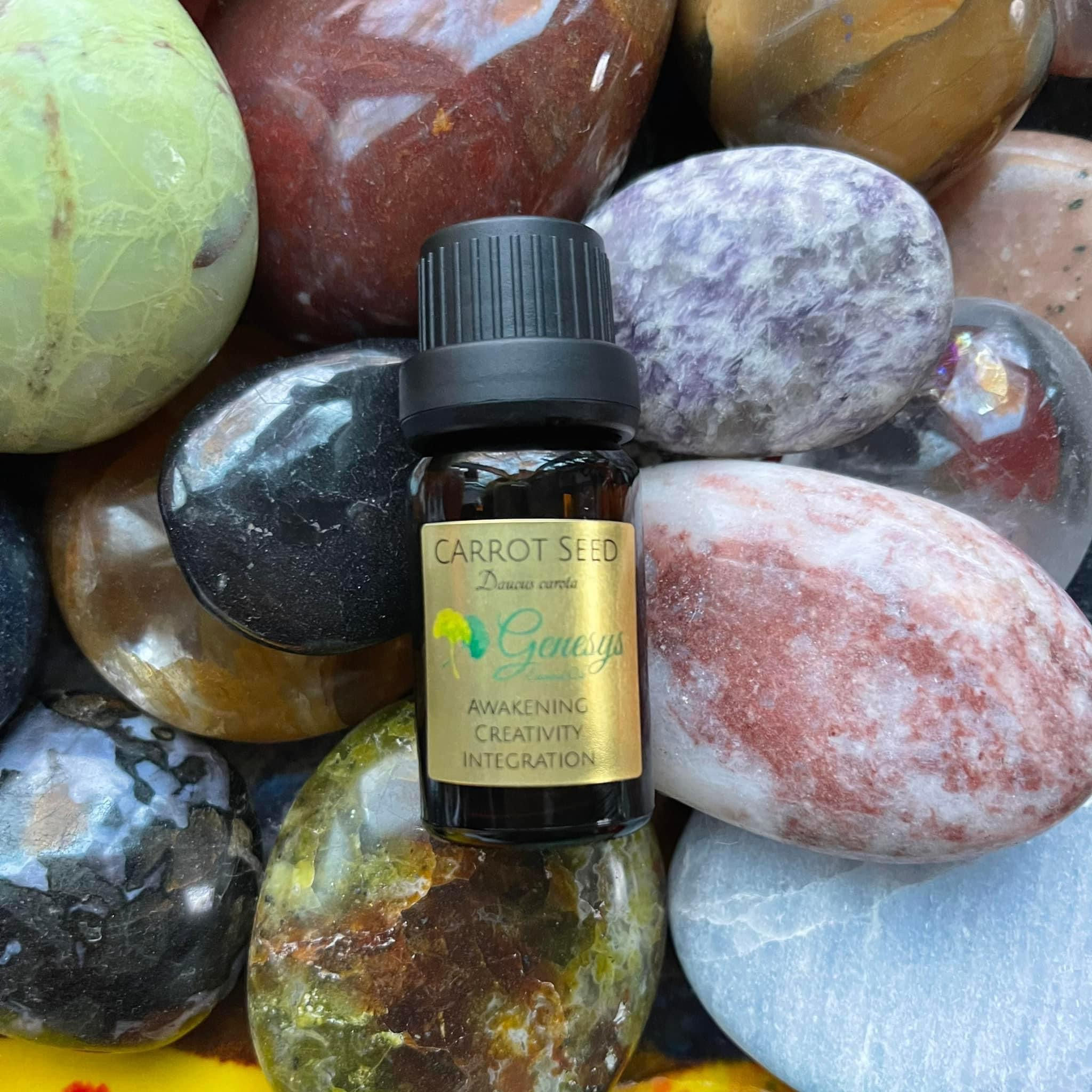 Carrot Seed 100% Pure Organic Essential Oil
