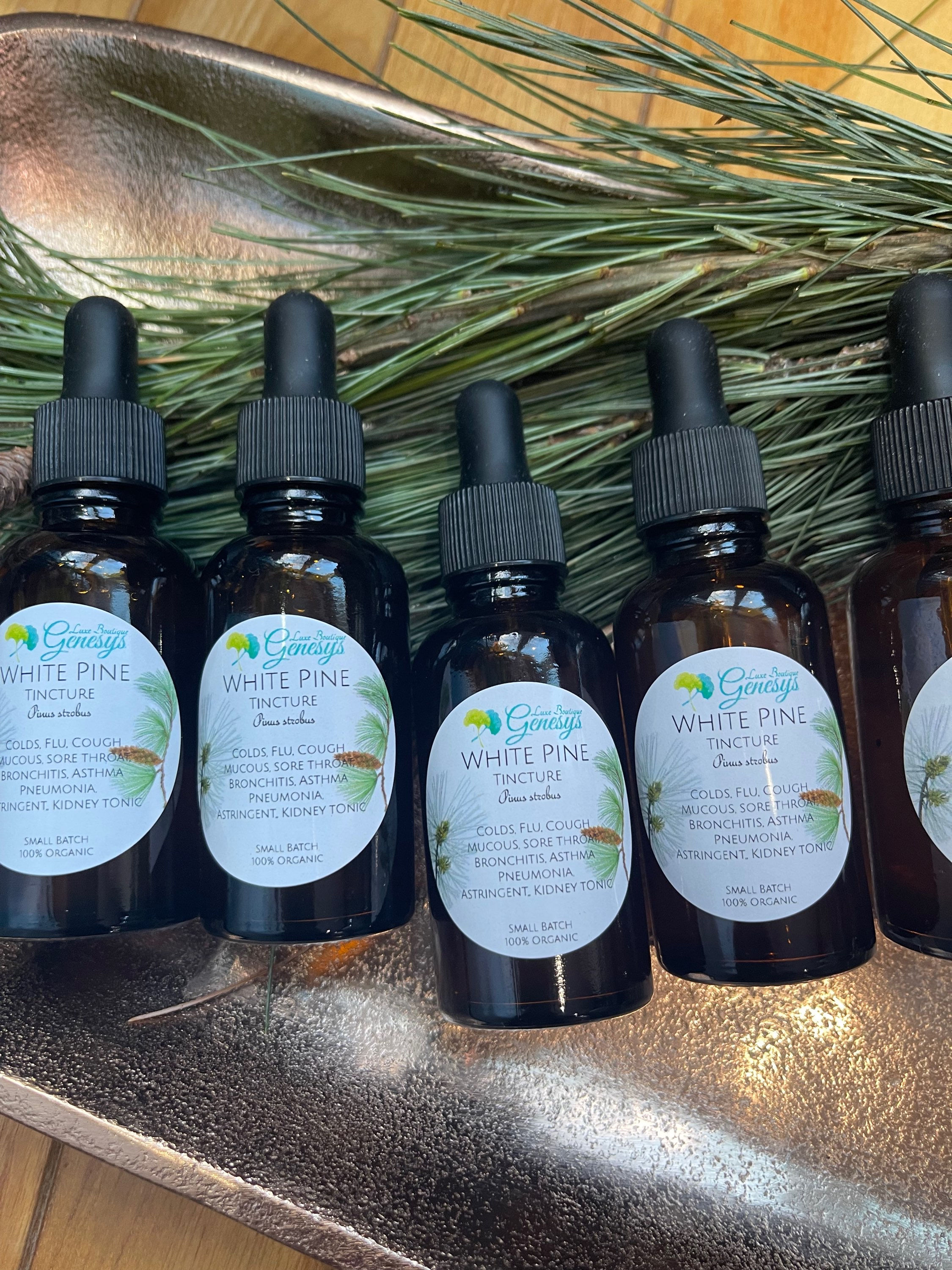 White Pine Tincture