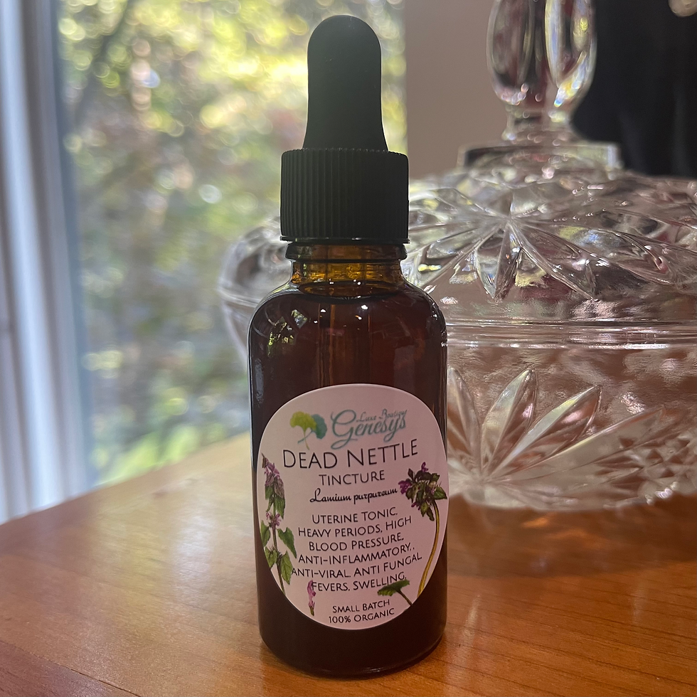 Dead Nettle Tincture
