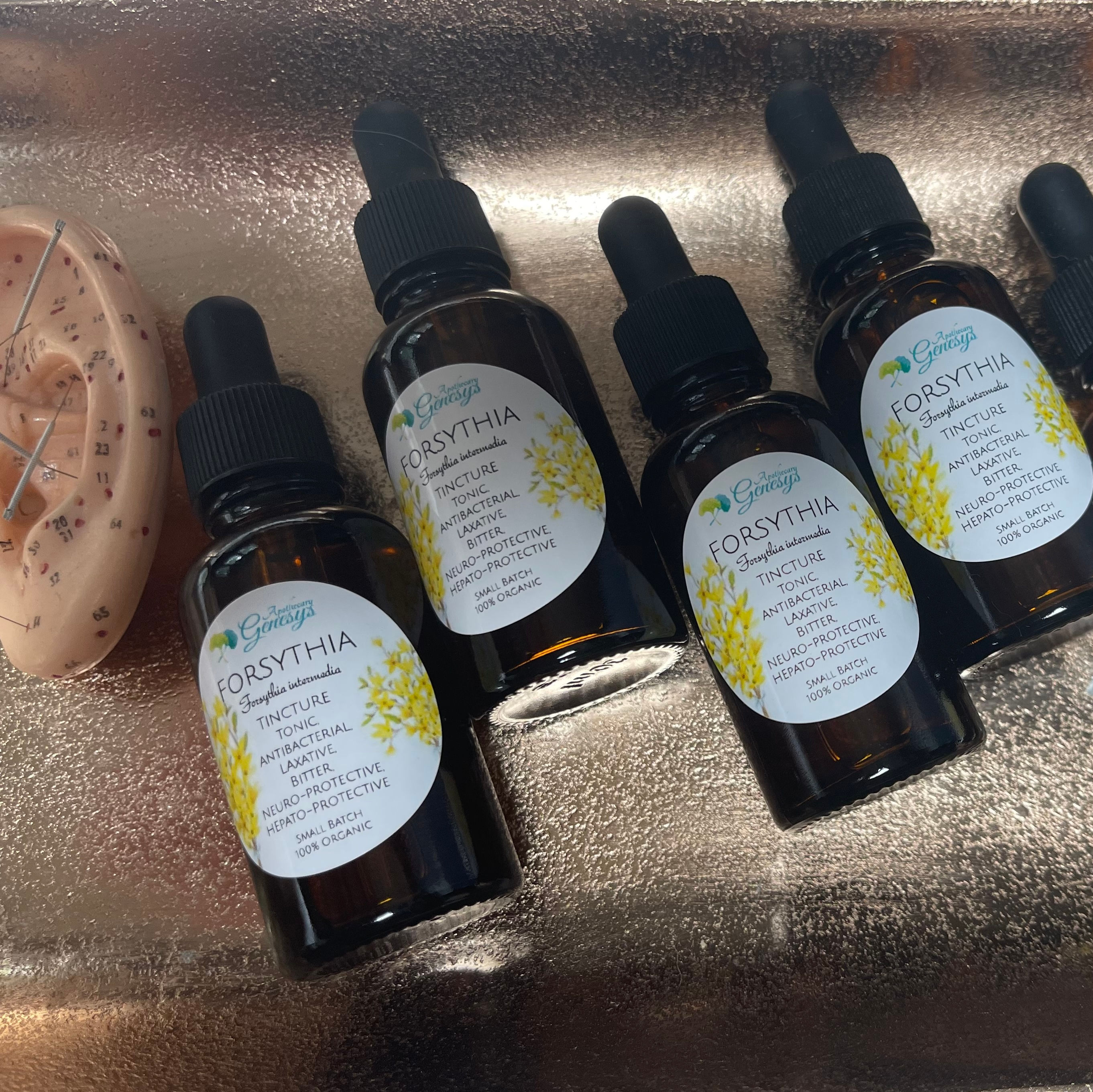 Forsythia Tincture