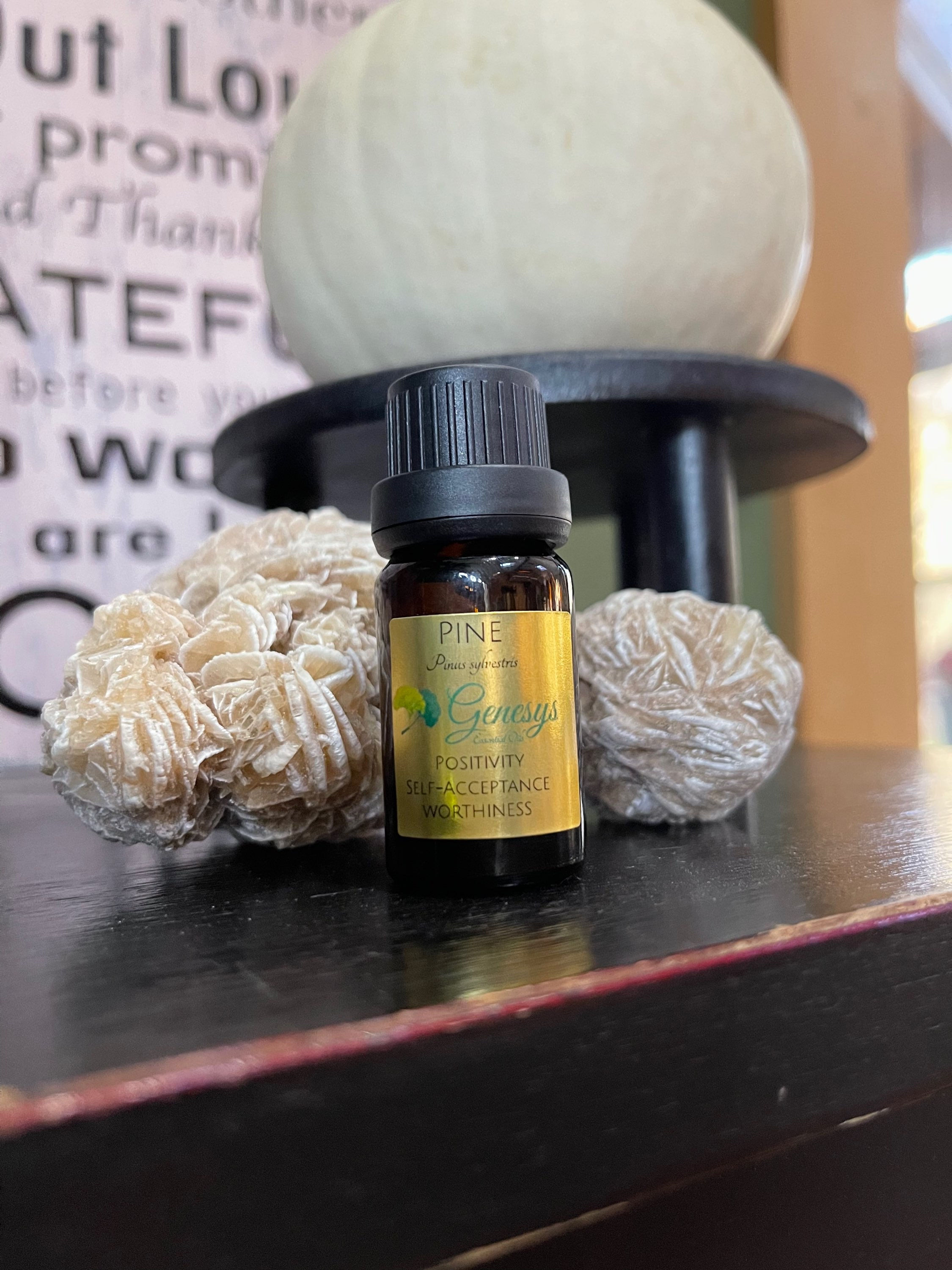Pine 100% Pure Organic Essential Oil