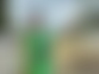 Creating New Pollinator Habitats / Creando Nuevas Habitats para Polinisadores