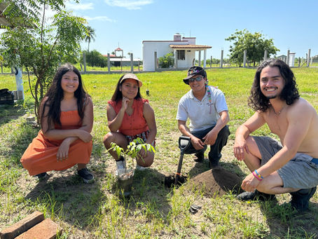Trees for Kids * Arboles para Ninos
