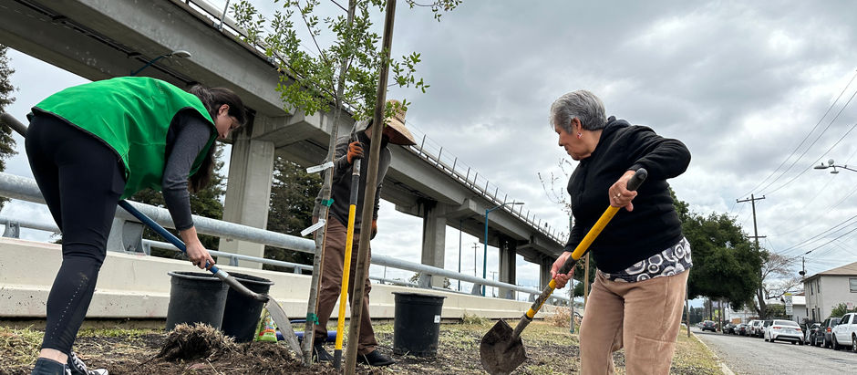 Spring Tree Planting