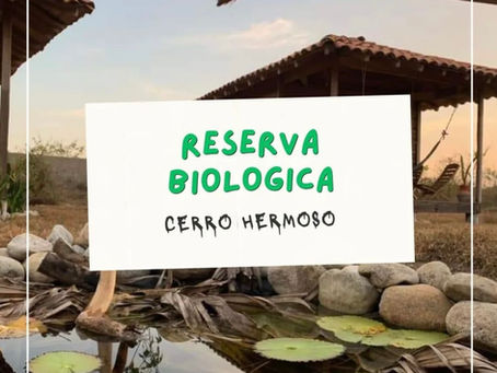 Technology & Renewable Energy * Tecnología y Energía Renovable