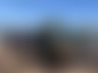 Habitat Restoration Program in California * Programas de Restauración de Habitats en California