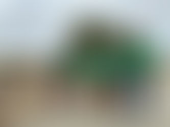 Habitats Restoration * Restauracion de Habitats