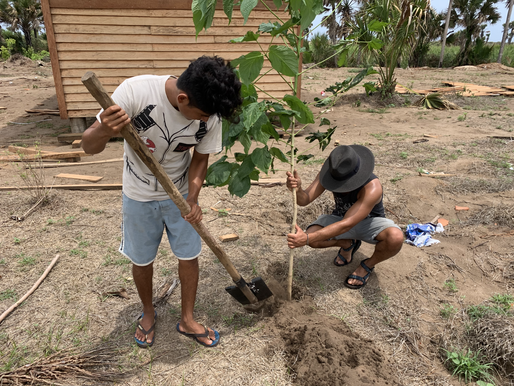 Planting the first trees * Plantando los primeros árboles