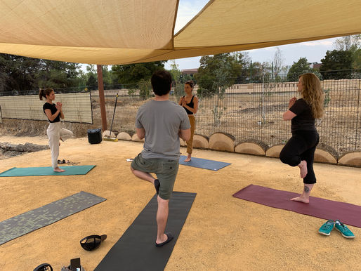 Yoga & Native Plants * Yoga & Plantas Nativas