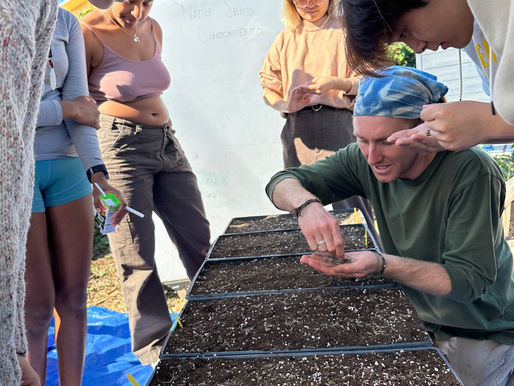 Propagating Native Plants * Propagando Plantas Nativas