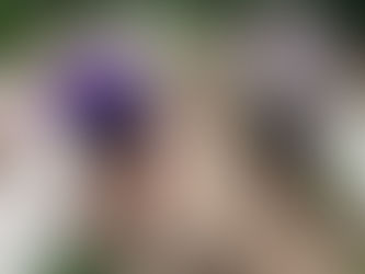 Planting live in town * Plantando vida en el pueblo