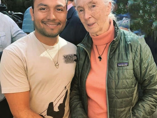 Happy Birthday Jane Goodall * Feliz Cumpleaños Jane Goodall.