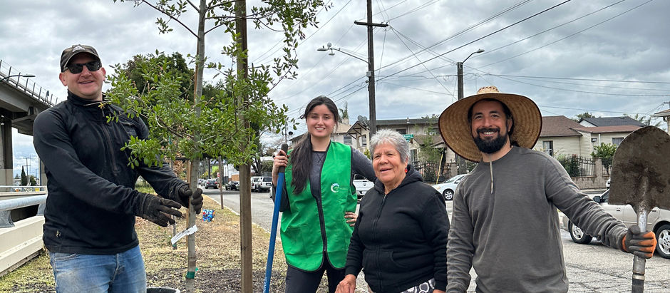 Spring Tree Planting * Plantation de Arboles en la Primavera