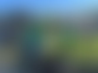 Thank You Things That Creep